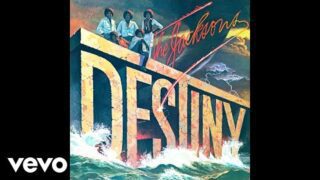 The Jacksons – Shake Your Body (Down to the Ground) (Official Audio)